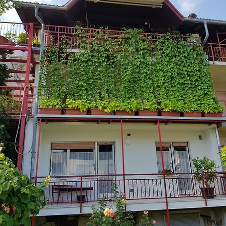 شقة Ljubljana'S Terrace المظهر الخارجي الصورة
