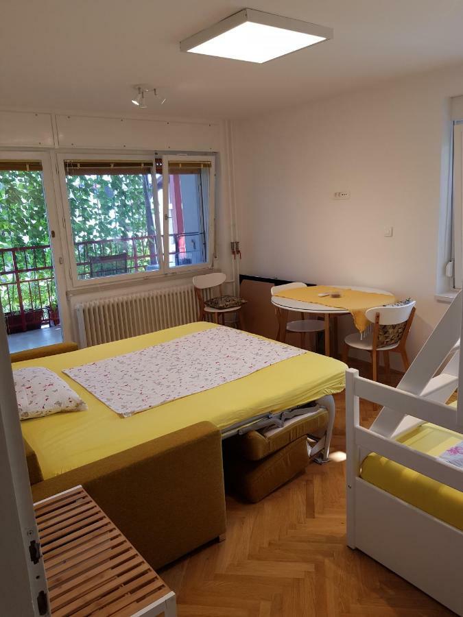 شقة Ljubljana'S Terrace المظهر الخارجي الصورة