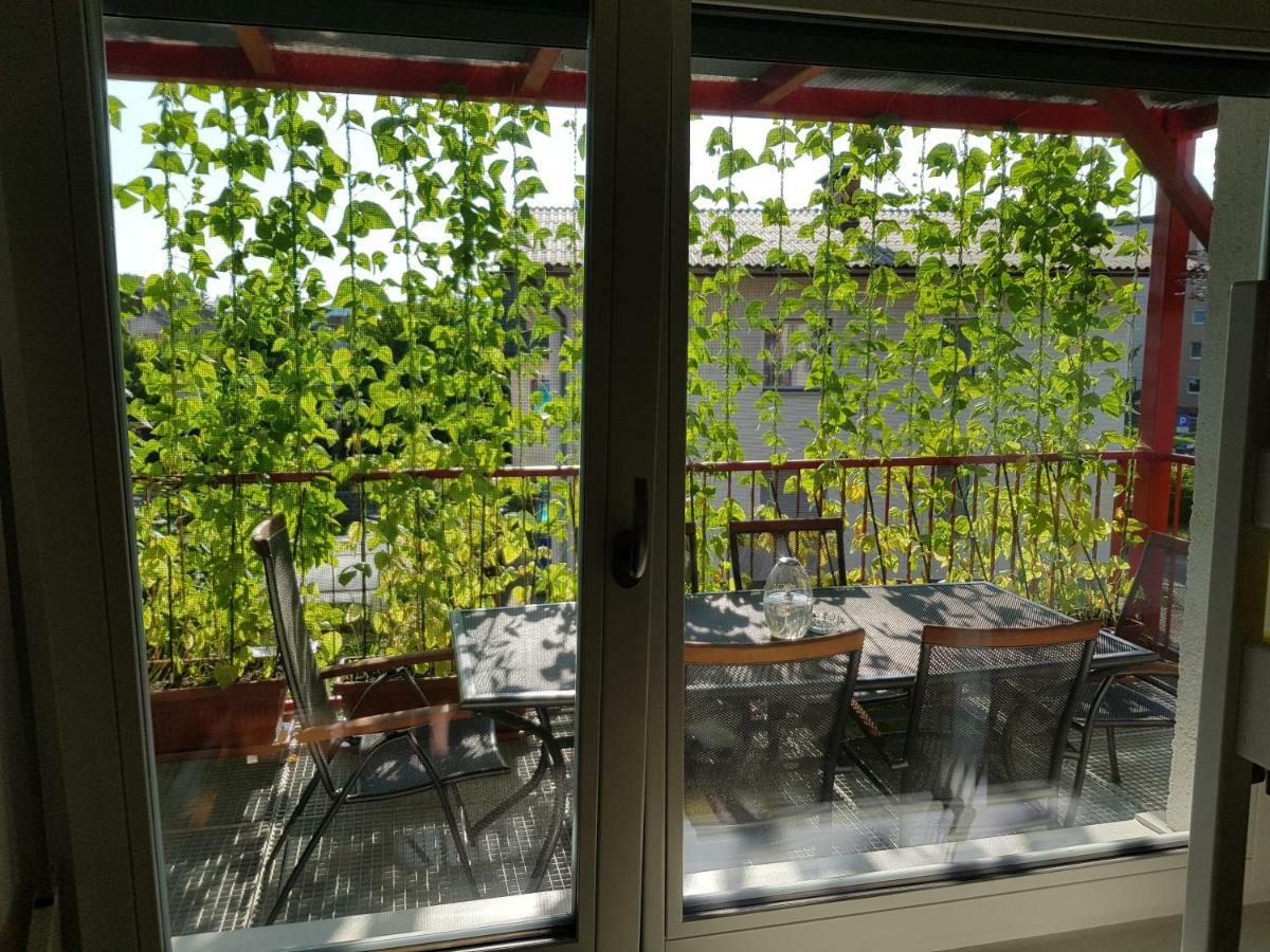 شقة Ljubljana'S Terrace المظهر الخارجي الصورة
